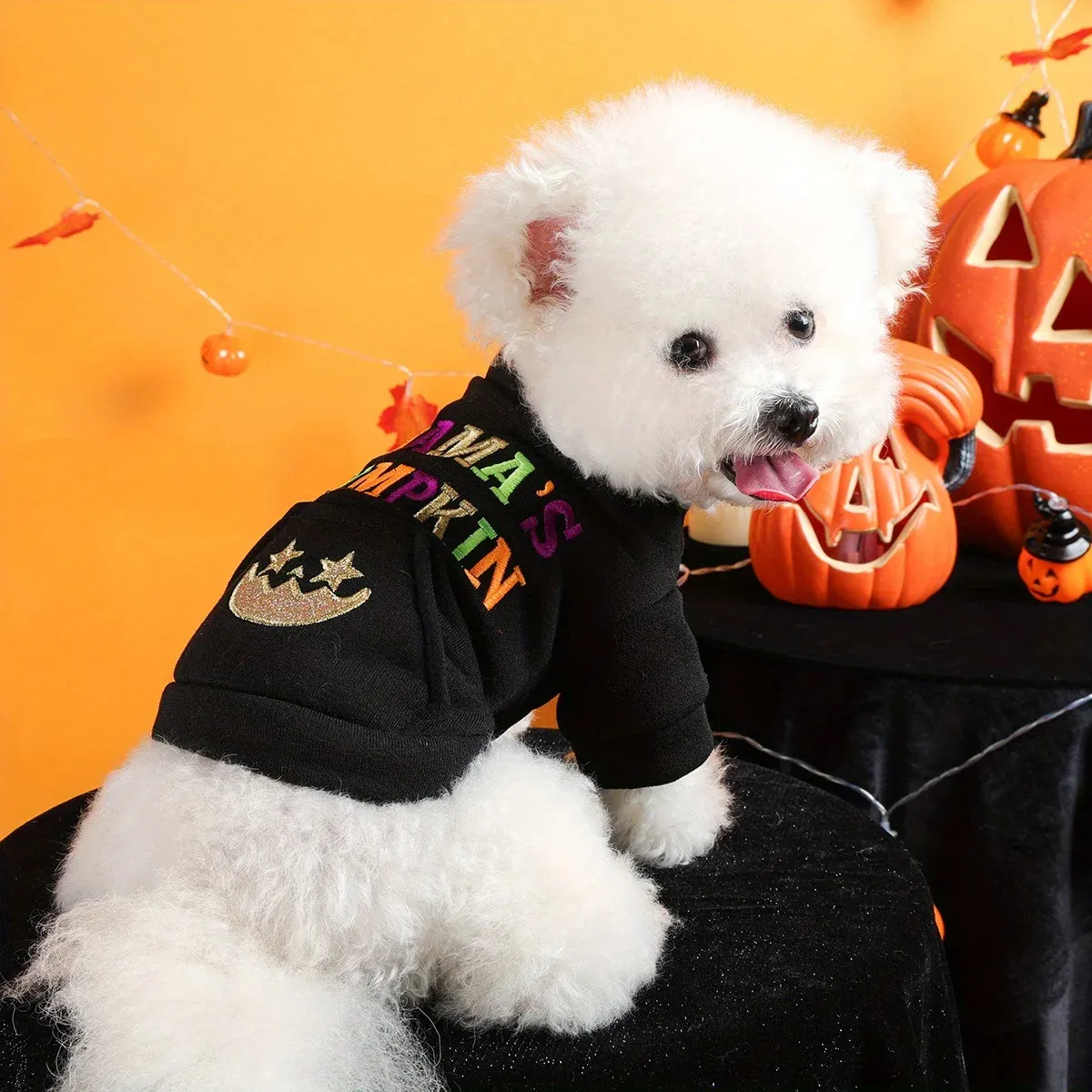 Halloween Pumpkin Pet Sweater – Funny Dog & Cat Jacket with Embroidery