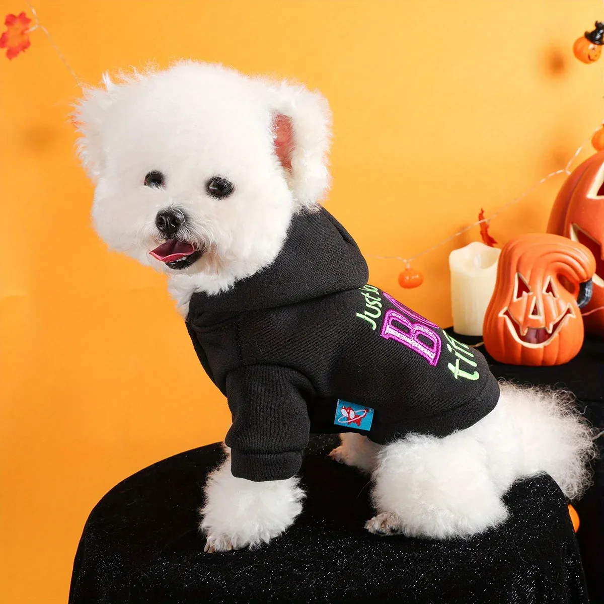 Halloween Hooded Pet Sweater – Warm, Funny, Embroidered Jacket for Dogs & Cats - Image 2
