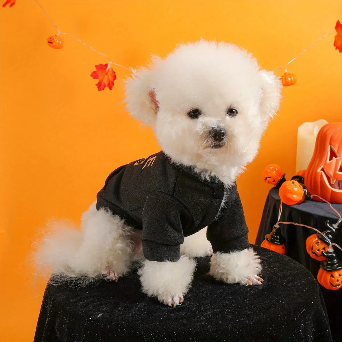 Halloween Dog & Cat Sweater – Funny Black Jacket with Embroidery & Buttons - Image 2