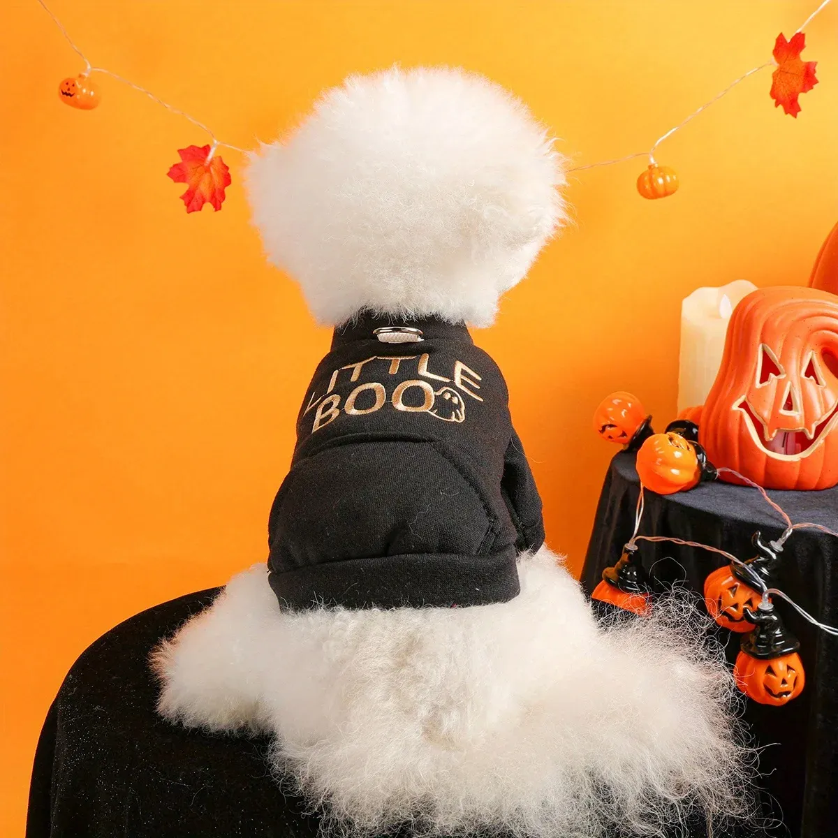 Halloween Dog & Cat Sweater – Funny Black Jacket with Embroidery & Buttons - Image 3