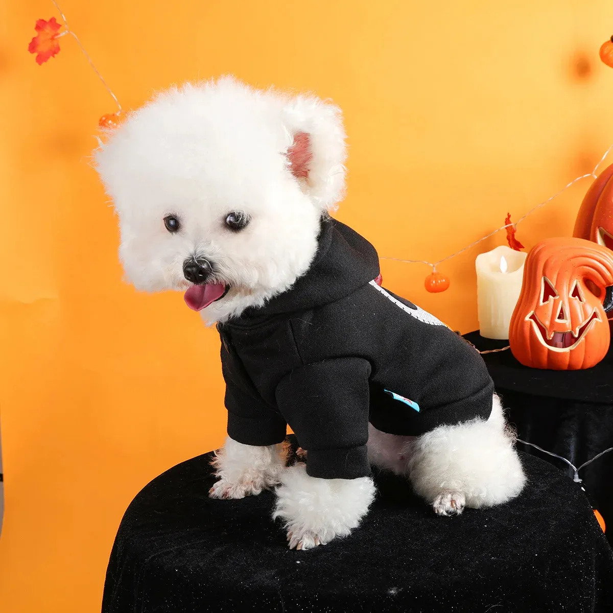 Halloween Skull Hoodie for Dogs – Funny Thick Black Pet Jacket - Image 3