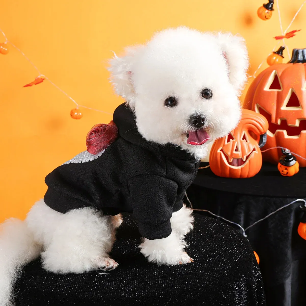 Halloween Skull Hoodie for Dogs – Funny Thick Black Pet Jacket - Image 2