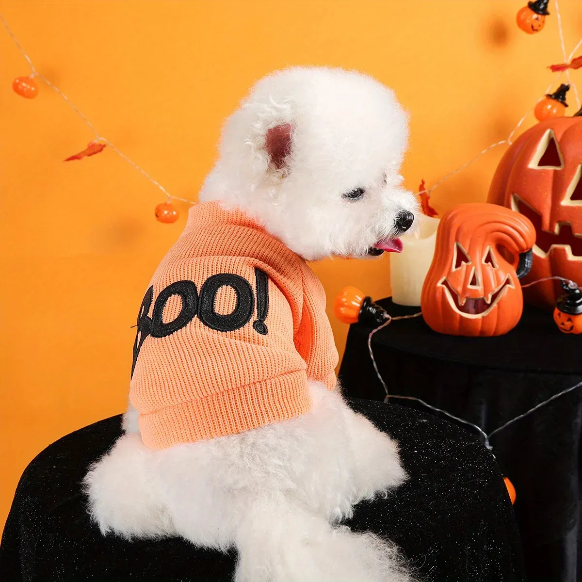 Halloween Pet Pullover – Funny “Boo” Embroidered Crew Neck for Dogs & Cats