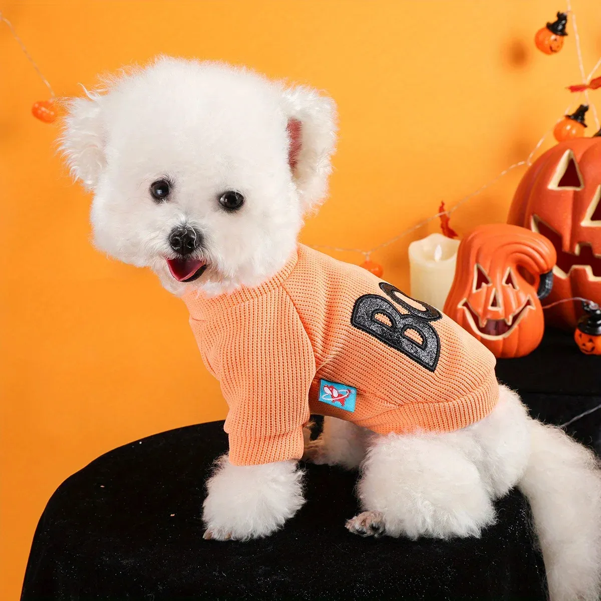Halloween Pet Pullover – Funny “Boo” Embroidered Crew Neck for Dogs & Cats - Image 2