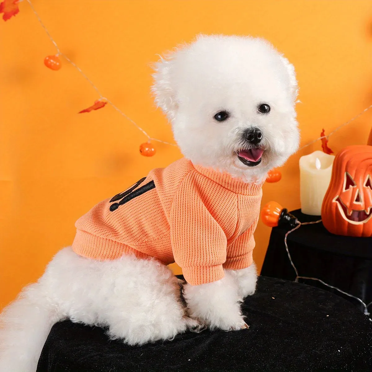 Halloween Pet Pullover – Funny “Boo” Embroidered Crew Neck for Dogs & Cats - Image 3