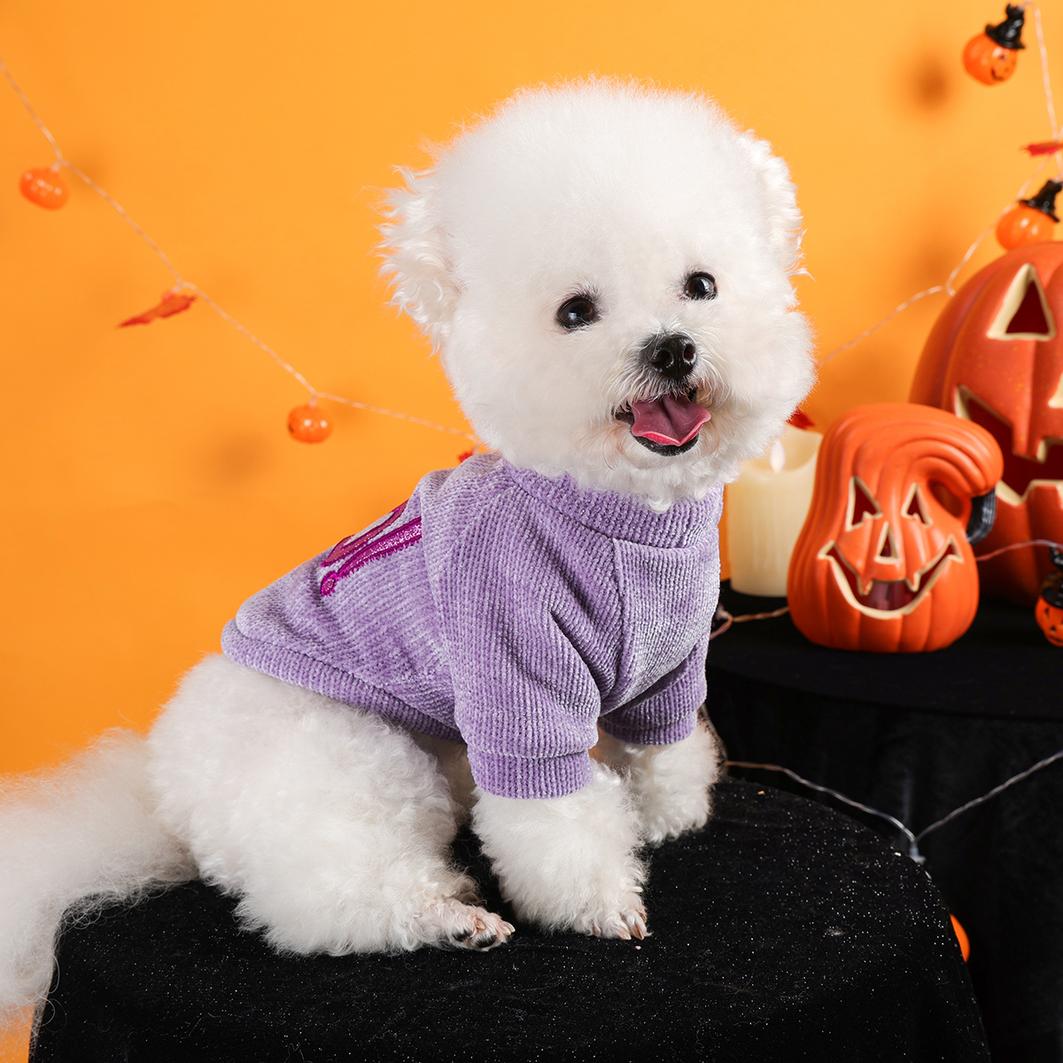Halloween Purple Boo Pet Pullover for Dogs and Cats - Image 4