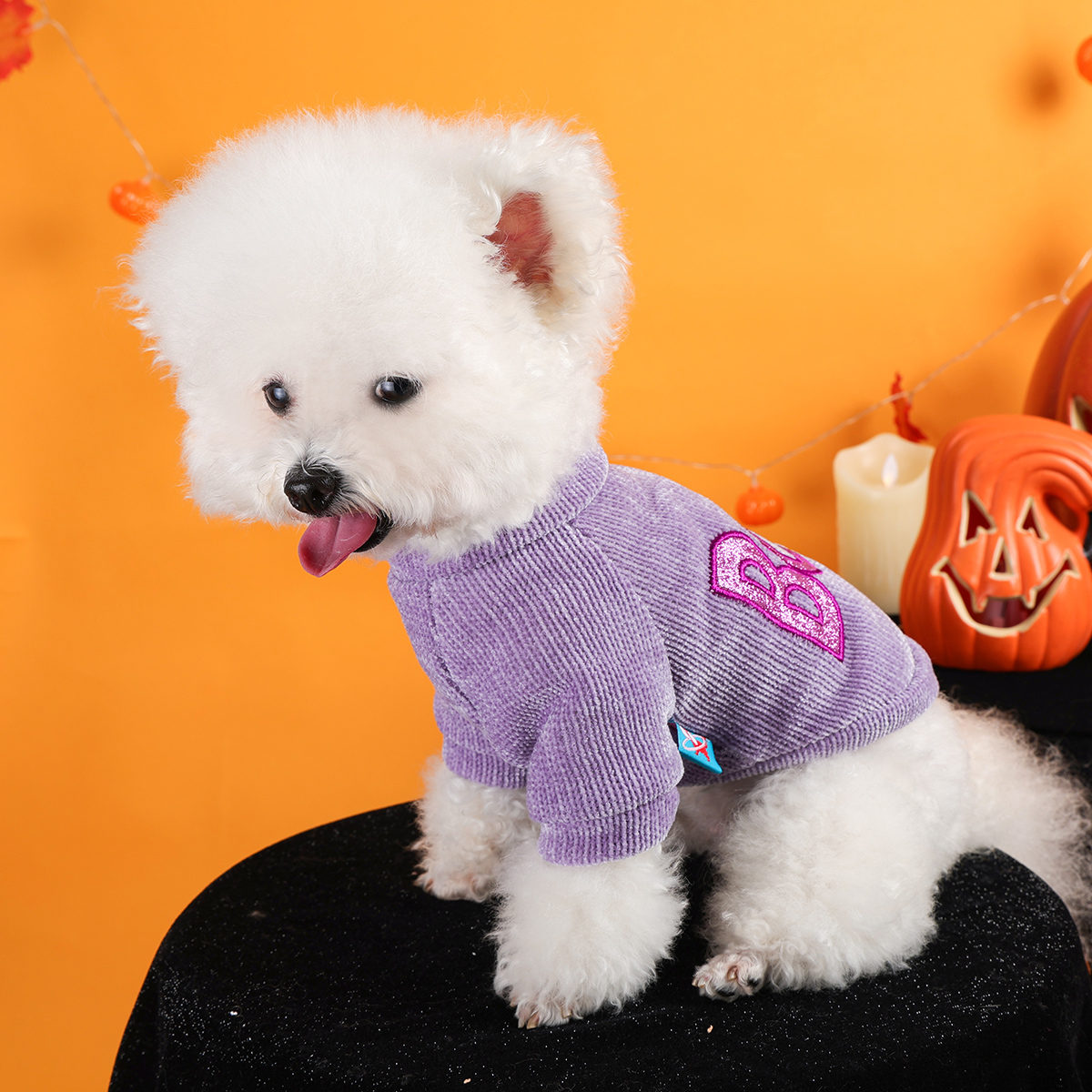 Halloween Purple Boo Pet Pullover for Dogs and Cats - Image 5