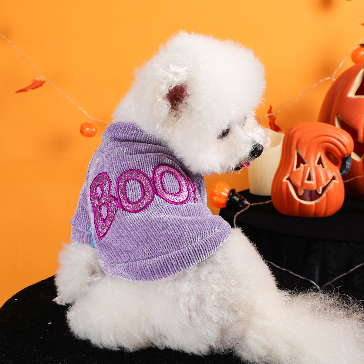 Halloween Purple Boo Pet Pullover for Dogs and Cats - Image 2
