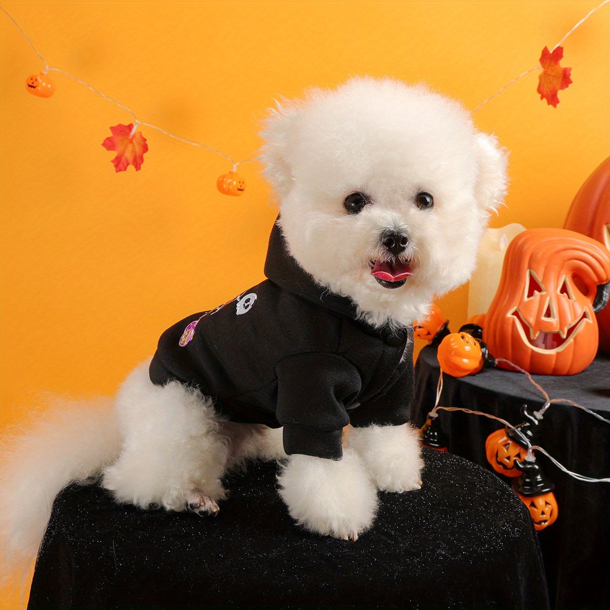 Halloween Spider Web Pet Hoodie with Pumpkin Embroidery - Image 4