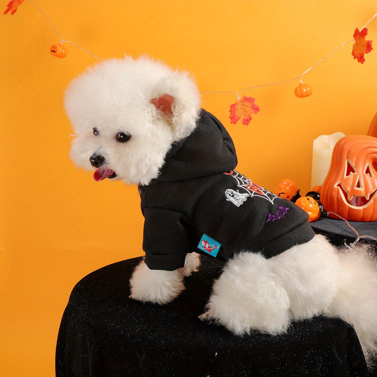 Halloween Spider Web Pet Hoodie with Pumpkin Embroidery - Image 5